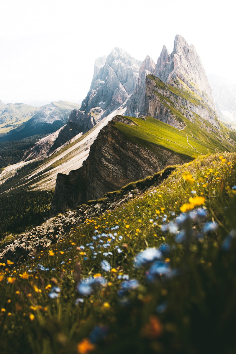 Photo by Daniela Kokina green grass and gray rocky mountain during daytime